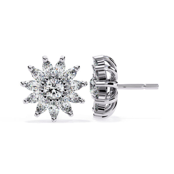 ER14079-10-png ER14079-10-png