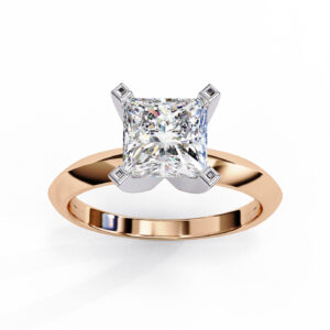 Princess Promise